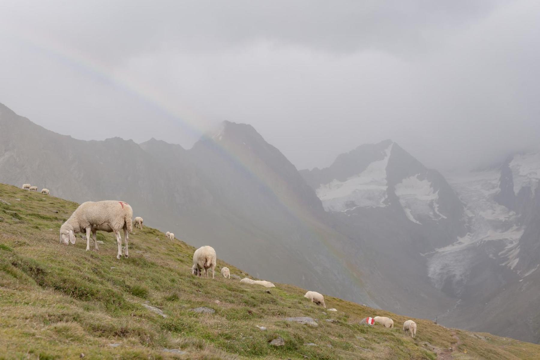 Hotel Olympia Obergurgl Luaran gambar